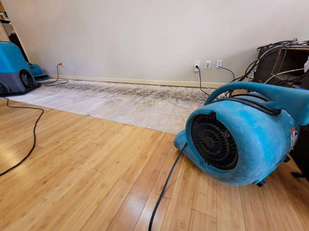 Professional Ceiling Water Damage Repair technician working in Jericho, NY